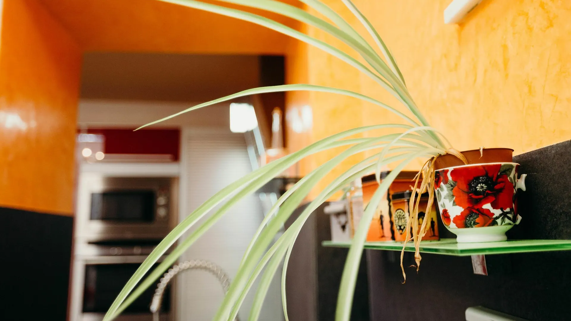 Apartmán Loft Del Arte Cádiz 0*,  Španělsko